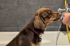 IMG-20240918-WA0001
