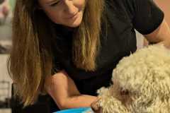IMG-20250213-WA0053