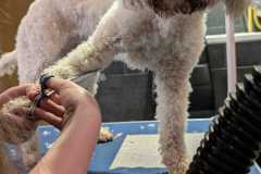 IMG-20250213-WA0057