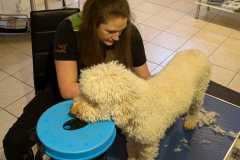 IMG-20250213-WA0059