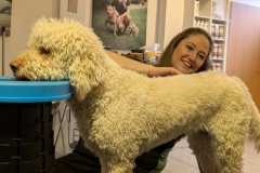 IMG-20250213-WA0060