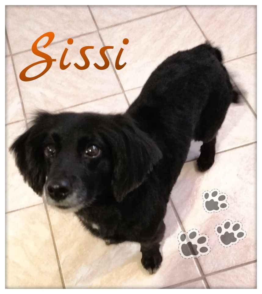 Sissi